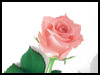 Sweet rose for a sweet you! - Sweetest Day ecards - Events Greeting Cards